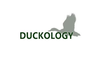 duckology-com