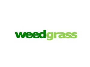 weedgrass.com is for sale