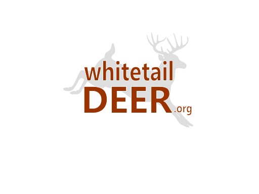 whitetaildeer.org domain for sale