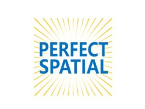 perfectspatial.com domain for sale