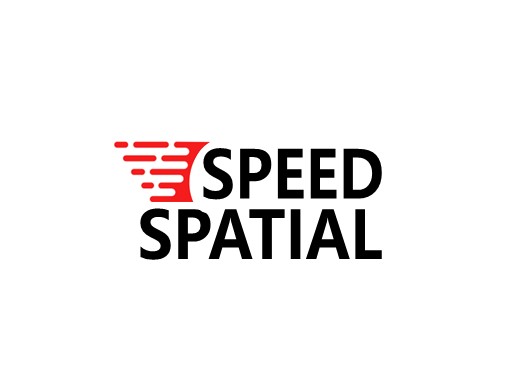 speedspatial.com domain for sale