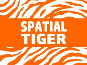 spatialtiger.com domain for sale