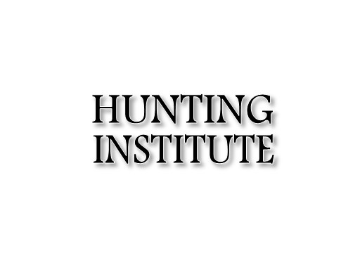 huntinginstitute.com domain for sale