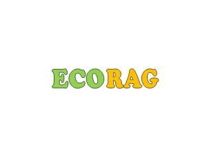 ecorag.com domain for sale