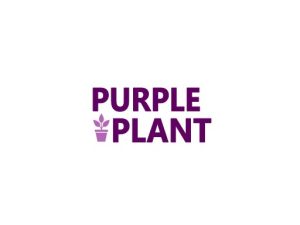 purpleplant.com domain for sale